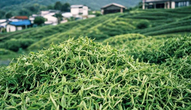 农产品集中采购中的选型与仓储环节分析